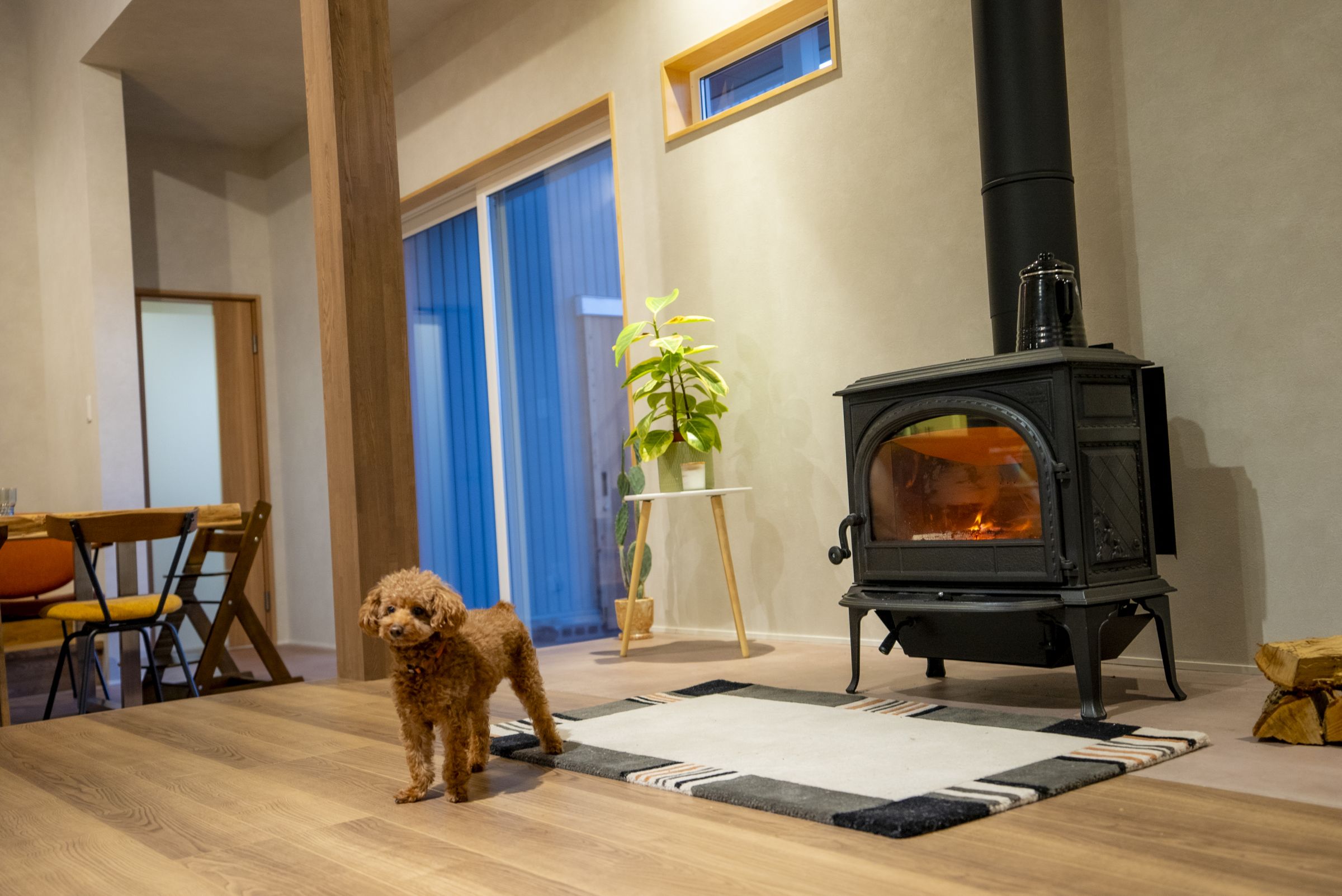 アフター　リビング @ T様邸　リノベーション工事 / レオニダス 施工実例